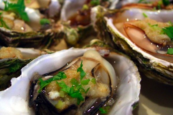 How shellfish saved the human race - Boing Boing