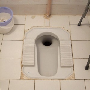 How to: Use a squat toilet - Boing Boing