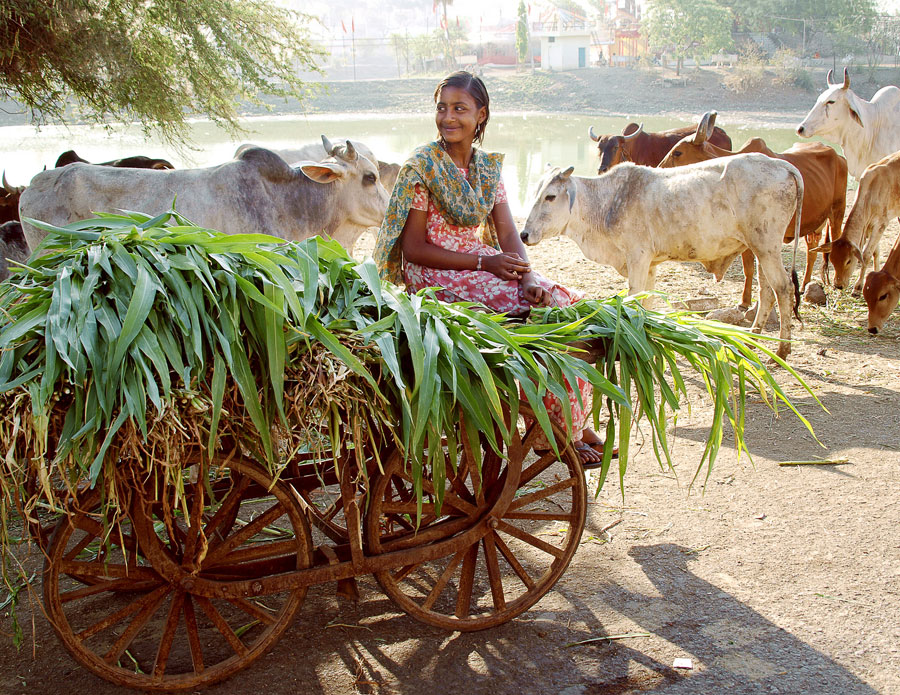 Gopi (cow herd girl), a photo in the Boing Boing Flickr pool | Boing Boing