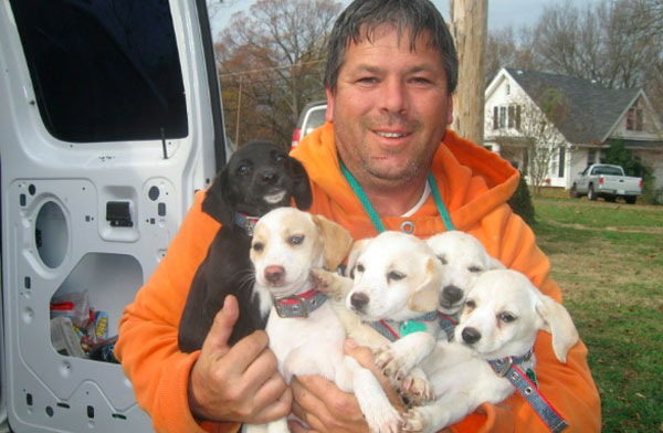 Man drives 40,000 miles a year saving dogs from 'kill shelters' - Boing ...