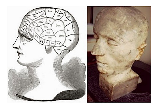 Phrenology bust modeled on a human death mask - Boing Boing