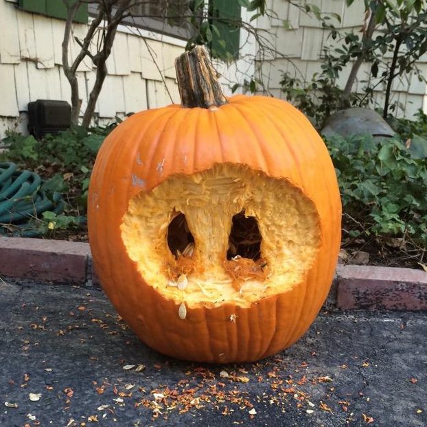 I didn't carve my pumpkin, so a squirrel carved it for me | Boing Boing