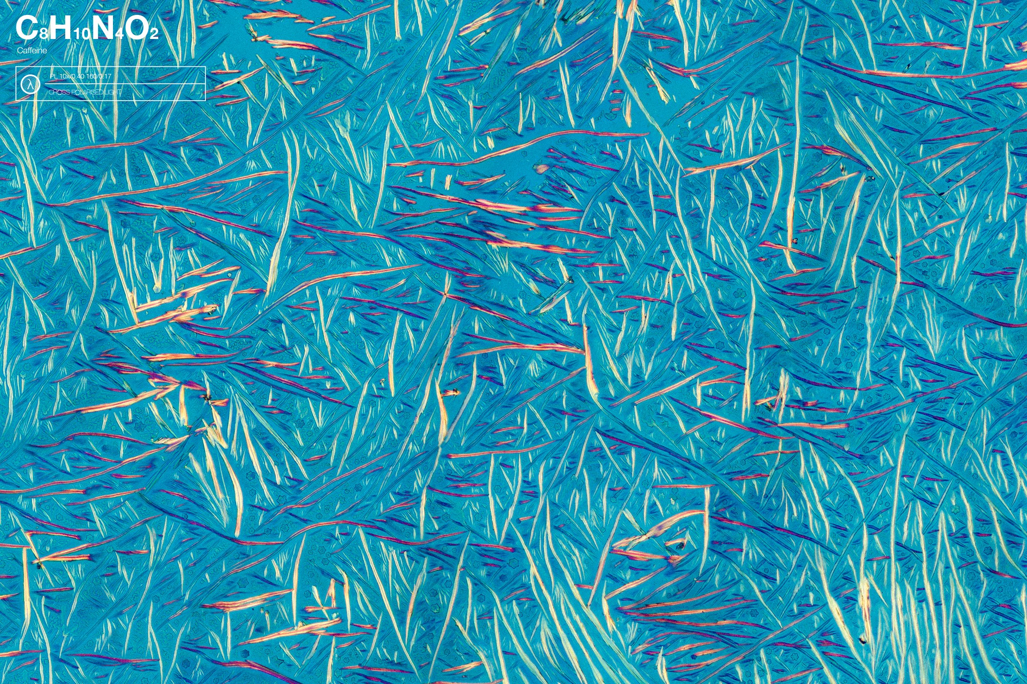 Caffeine crystals; formed out of 100% caffeine powder dissolved in demineralised water, made visible by using a cross polarised light microscope with an Berek filter.