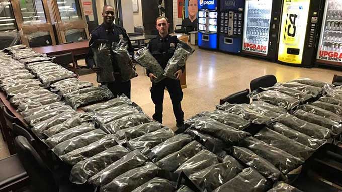 NYPD Proudly Stages Seizure Of 106 Pounds Of Legal Hemp - Boing Boing