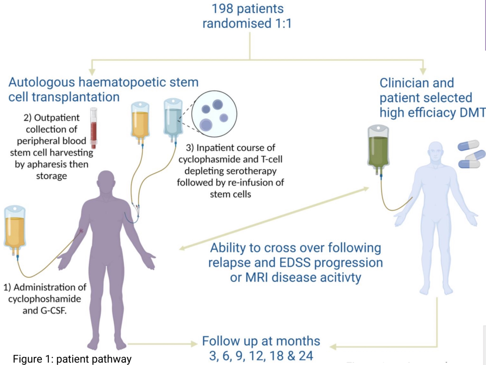 Stem Cell Treatment For Multiple Sclerosis Could "revolutionize" Care ...