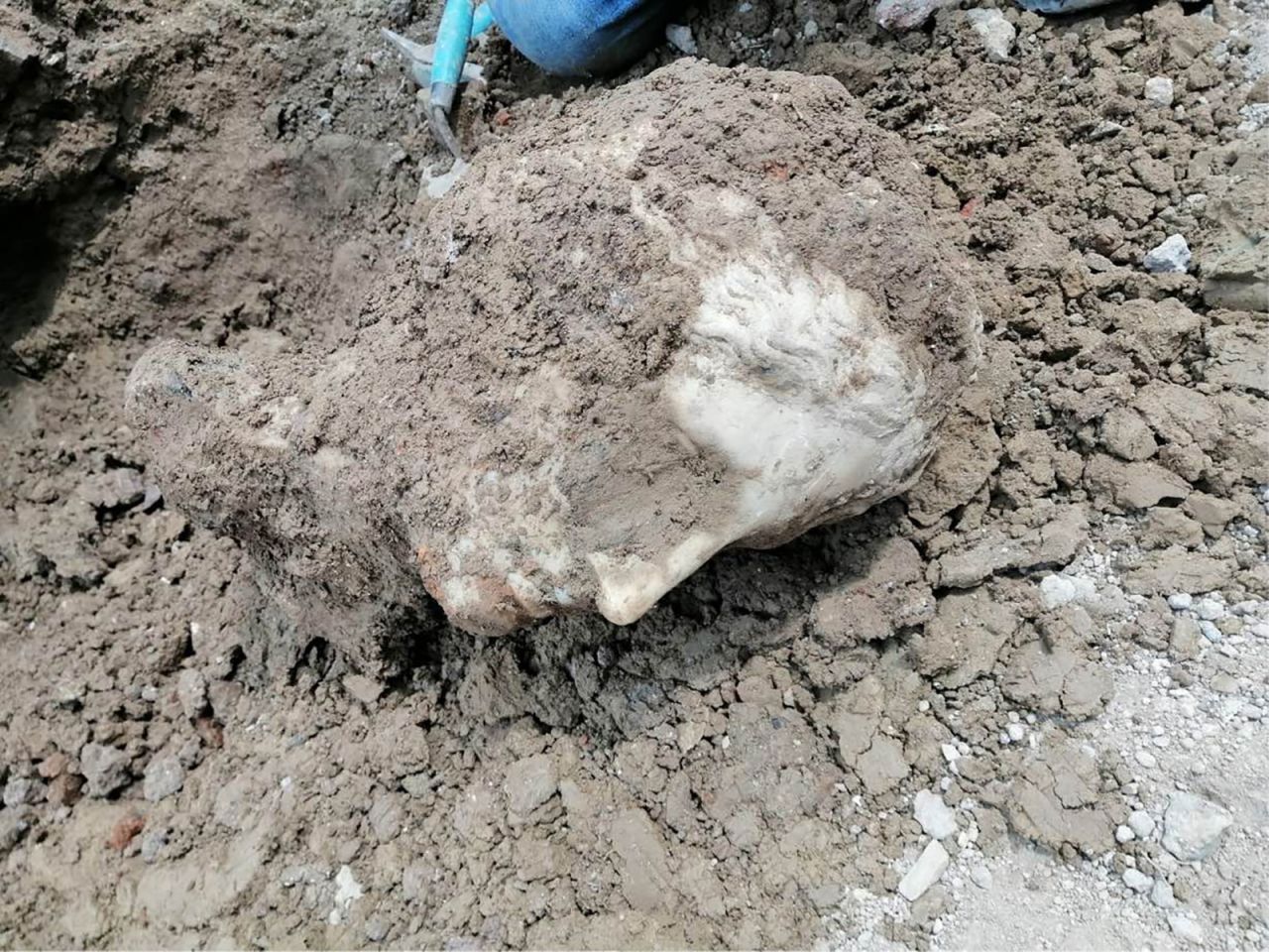 Construction Crew Digs Up Magnificent 2,000-year-old Marble Head That ...