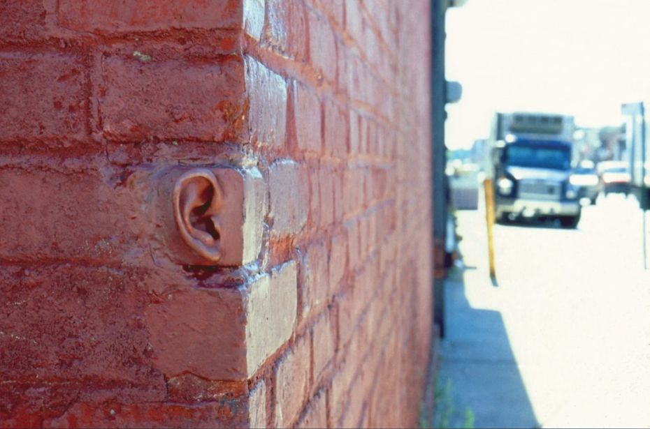 Artist embeds his own body parts into NYC walls - Boing Boing