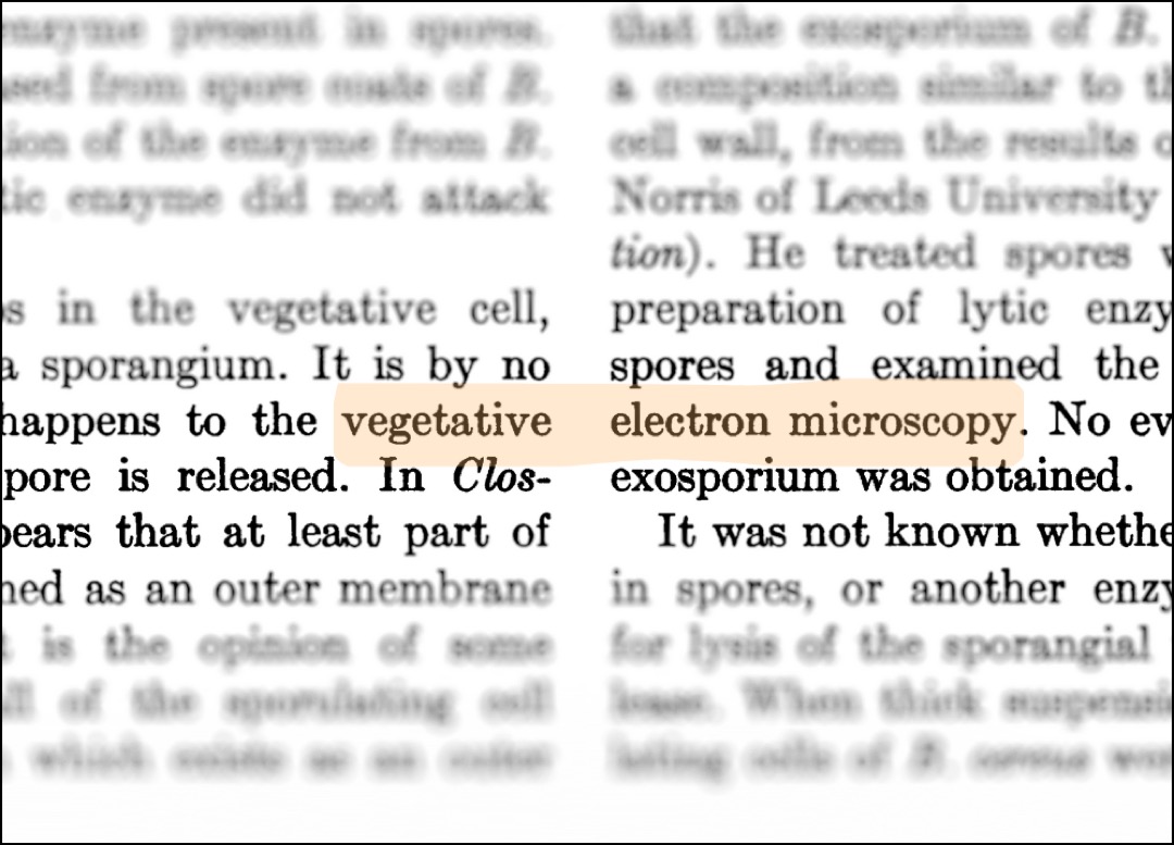 AI column-smashes words, concocts scientific term now used in 20 papers